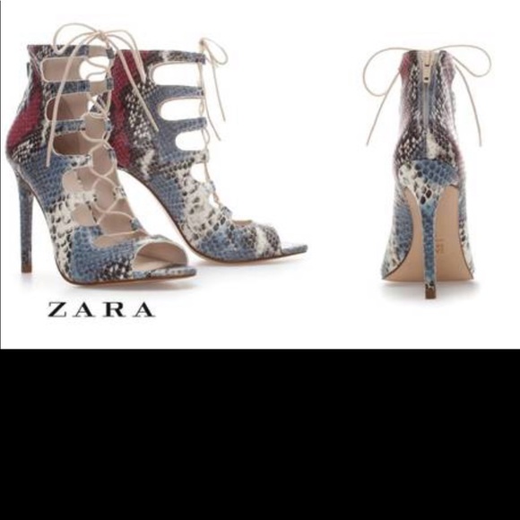 Zara Snakeskin Laceup booties 38 - Picture 3 of 8